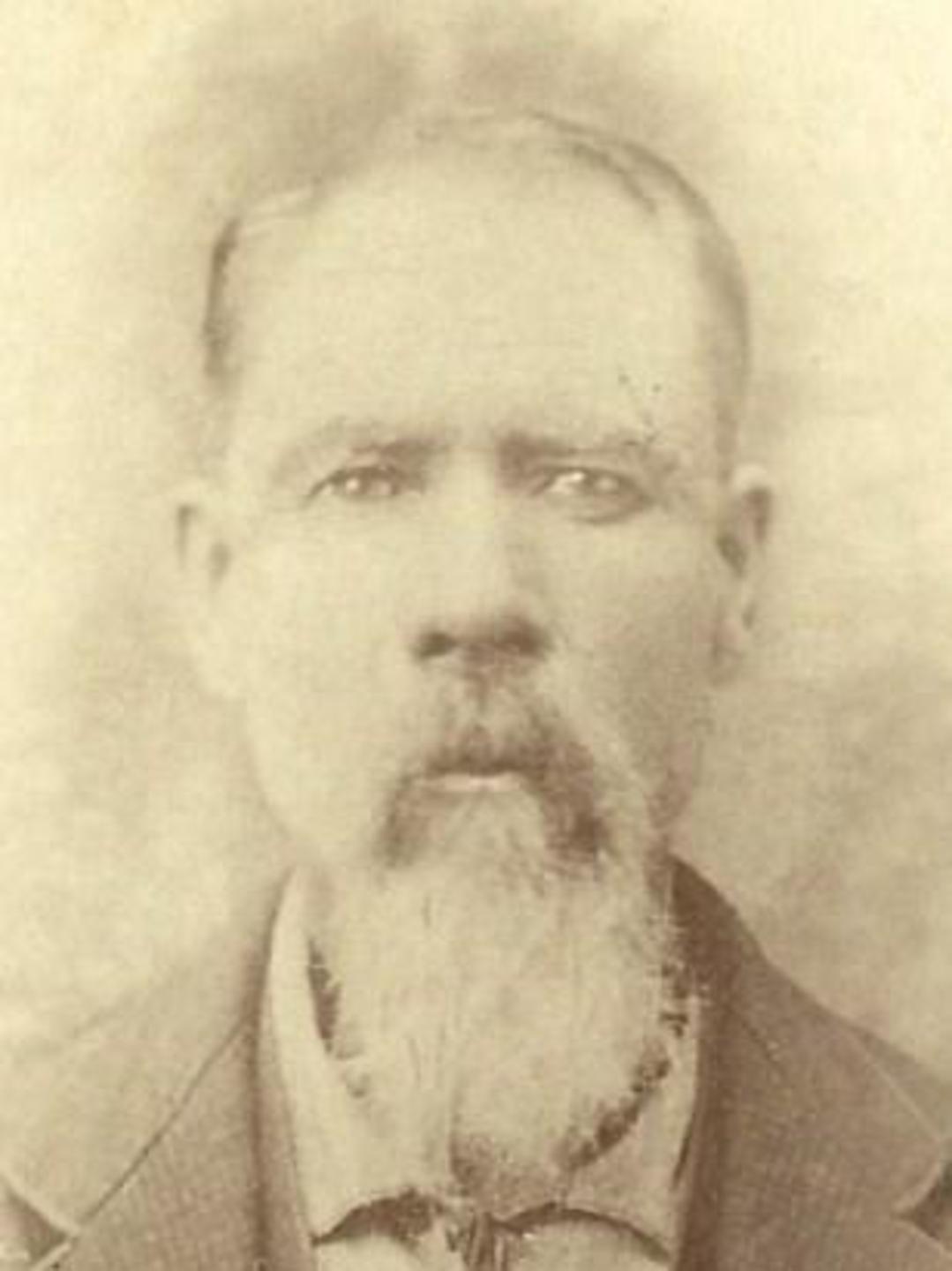 Alexander Simpson Gibson (1826 - 1902) Profile